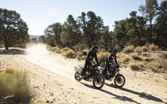 Gebrauchtmotorrad Triumph Scrambler 1200 XE - Bild 9