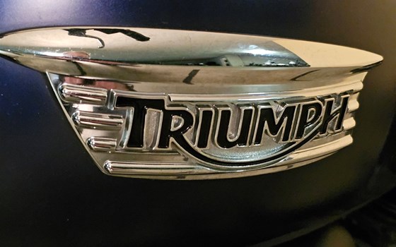 Motorrad Occasion Triumph Scrambler 900 - Bild 8