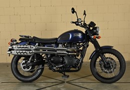 Moto usata Triumph Scrambler 900