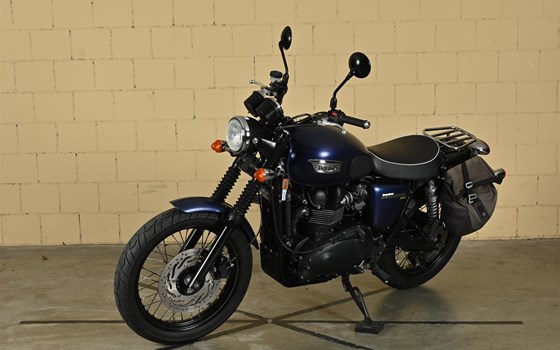 Motorrad Occasion Triumph Scrambler 900 - Bild 2