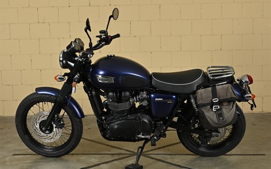 Motorrad Occasion Triumph Scrambler 900 - Bild 3