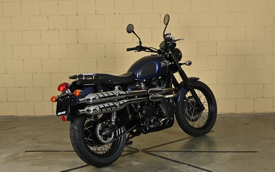 Motorrad Occasion Triumph Scrambler 900 - Bild 5