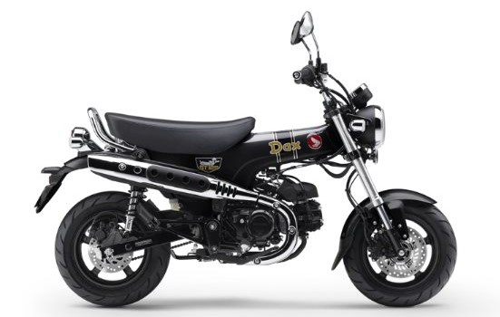 Neufahrzeug Honda Dax 125 - Bild 1
