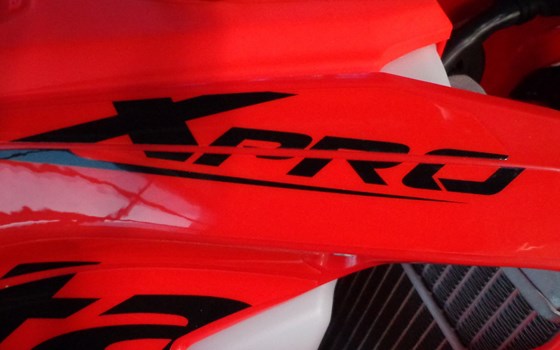 Neufahrzeug Beta RR 480 - Bild 5