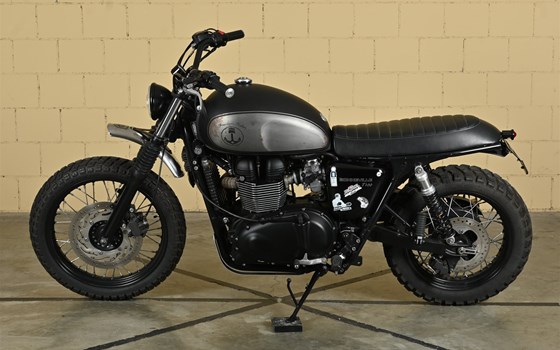 Motorrad Occasion Triumph Bonneville T100 - Bild 2