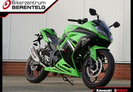 Gebrauchte Kawasaki Ninja 300