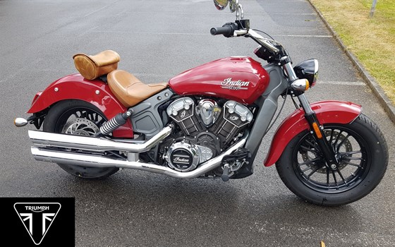 Gebrauchtmotorrad Indian Scout - Bild 1