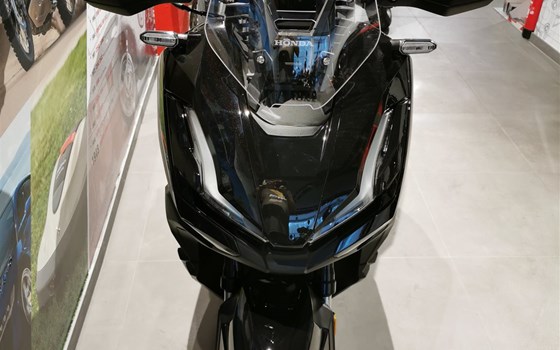 Neufahrzeug Honda ADV350 - Bild 4
