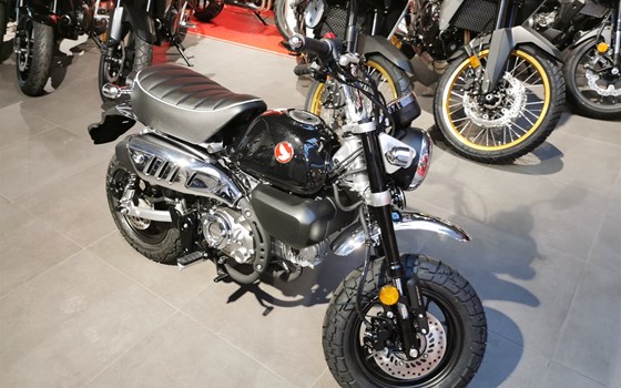 Neufahrzeug Honda Monkey 125 - Bild 2