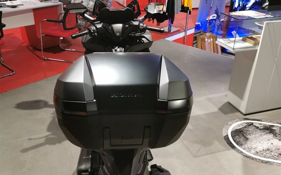 Neufahrzeug Honda Forza 125 - Bild 8