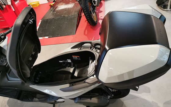 Neufahrzeug Honda Forza 125 - Bild 12