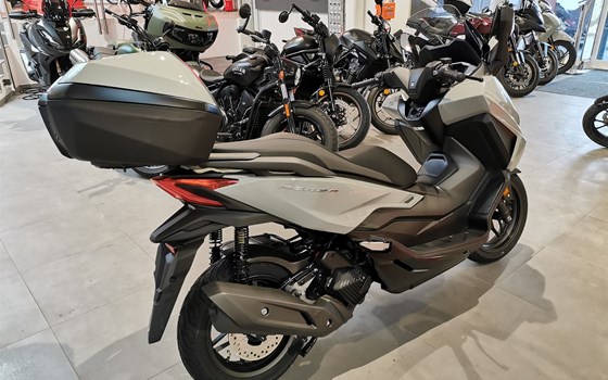 Neufahrzeug Honda Forza 125 - Bild 6