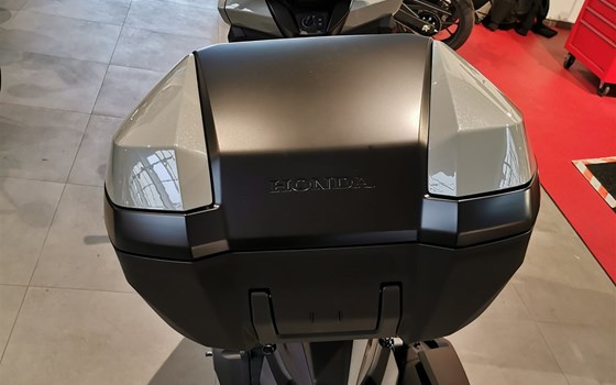 Neufahrzeug Honda Forza 125 - Bild 8