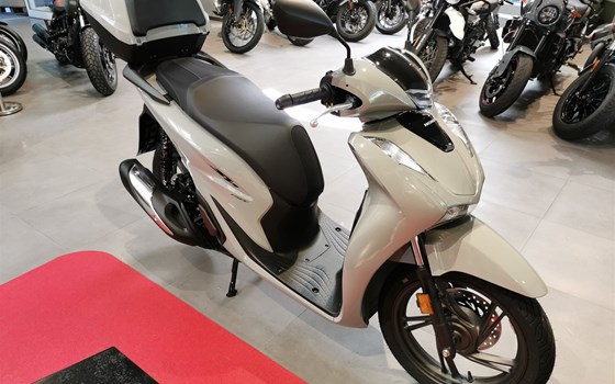 Neufahrzeug Honda SH150i - Bild 2