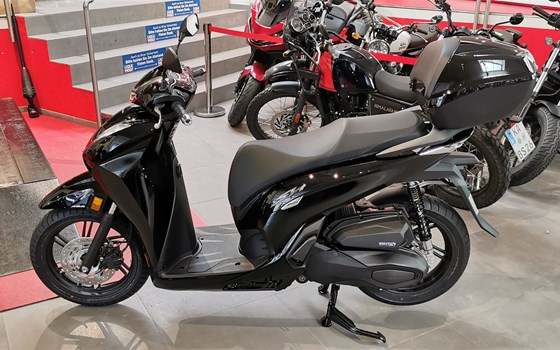 Neufahrzeug Honda SH350i - Bild 4