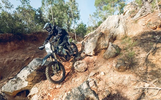 Neufahrzeug Triumph TF 250-E - Bild 6