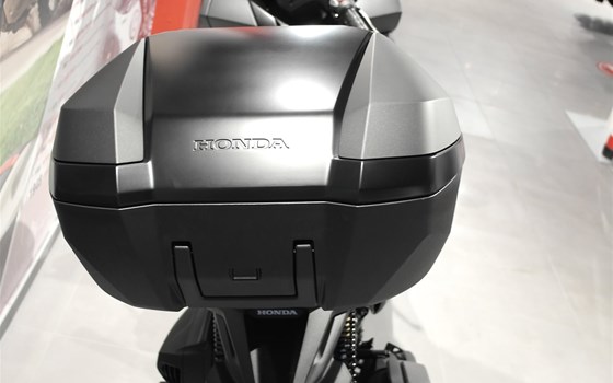 Neufahrzeug Honda Forza 350 - Bild 4