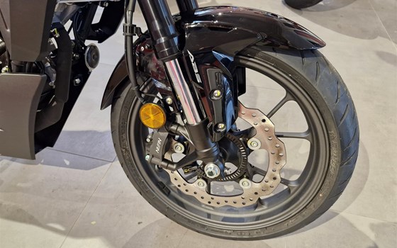 Neufahrzeug Honda CB125R - Bild 2