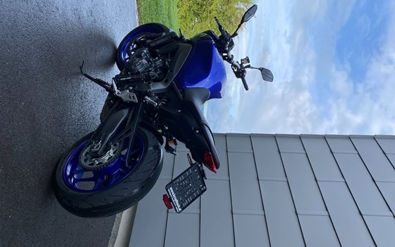 Gebrauchtmotorrad Yamaha MT-09 - Bild 14