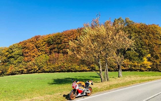 Gebrauchtmotorrad Honda CBR1000RR Fireblade SP - Bild 6