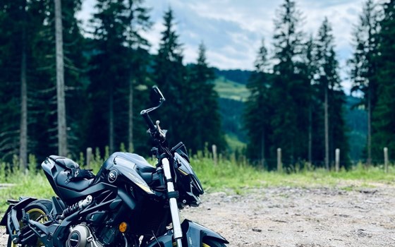 Gebrauchtmotorrad QJ Motor SRK 400 - Bild 1