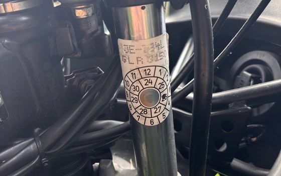 Gebrauchtmotorrad Suzuki GS 500F - Bild 3