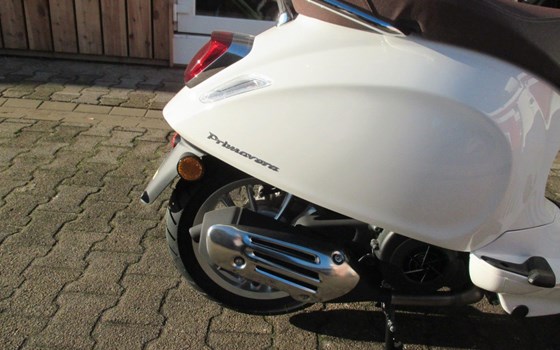 Neufahrzeug Vespa Primavera 125 - Bild 11