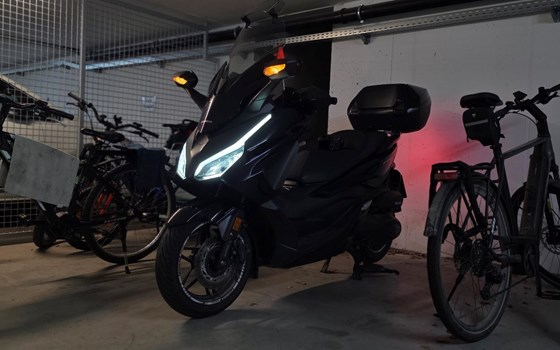 Gebrauchtmotorrad Honda Forza 350 - Bild 1