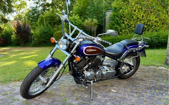 Gebrauchtmotorrad Yamaha XVS 1100 Drag Star - Bild 3