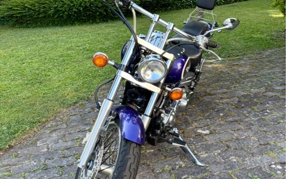 Gebrauchtmotorrad Yamaha XVS 1100 Drag Star - Bild 2