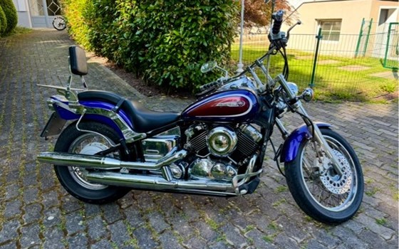 Gebrauchtmotorrad Yamaha XVS 1100 Drag Star - Bild 4