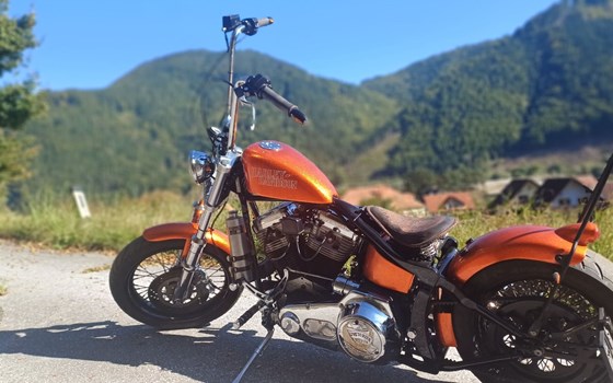 Gebrauchtmotorrad Harley-Davidson Softail Evo 1340 - Bild 3