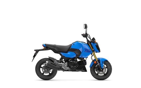 Neufahrzeug Honda MSX125 Grom - Bild 2