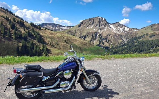 Gebrauchtmotorrad Kawasaki VN 800 - Bild 3