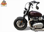 Angebot Triumph Bonneville Bobber