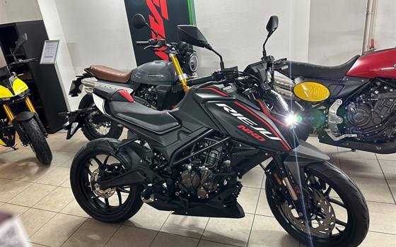 Neufahrzeug Rieju NKD 125 - Bild 16