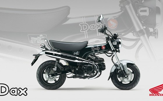 Neufahrzeug Honda Dax 125 - Bild 3