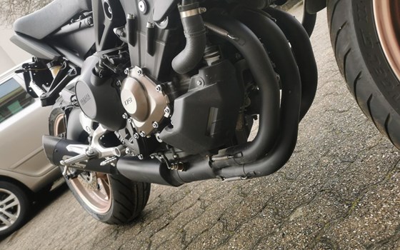 Offerta Yamaha MT-09 - Immagine 9