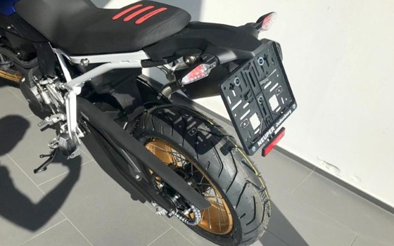 Neufahrzeug BMW F 900 GS - Bild 3