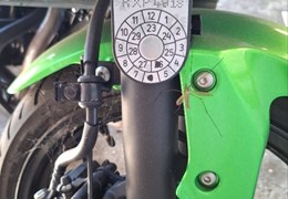Gebrauchte Kawasaki Z125