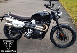 Neumotorrad Triumph Scrambler 1200 X