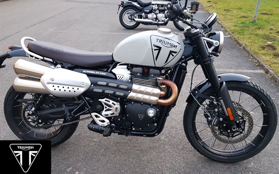 Gebrauchtmotorrad Triumph Scrambler 1200 X - Bild 1