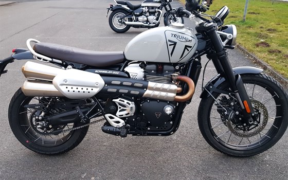 Gebrauchtmotorrad Triumph Scrambler 1200 X - Bild 4