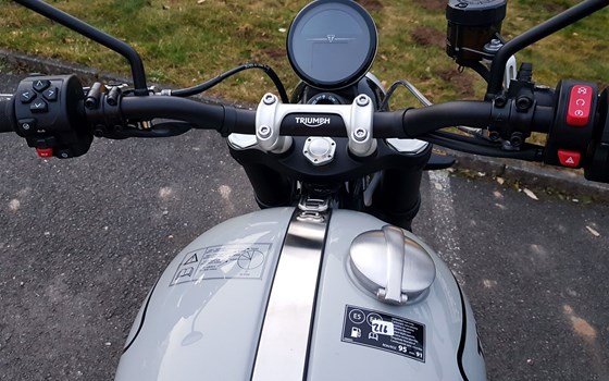 Gebrauchtmotorrad Triumph Scrambler 1200 X - Bild 3