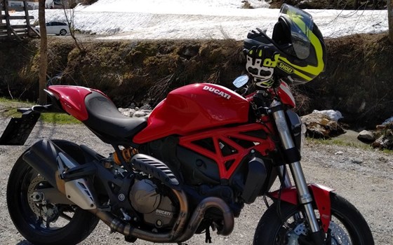 Gebrauchtmotorrad Ducati Monster 821 Stripe - Bild 10