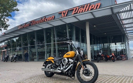 Neufahrzeug Harley-Davidson Softail Street Bob FXBB - Bild 1