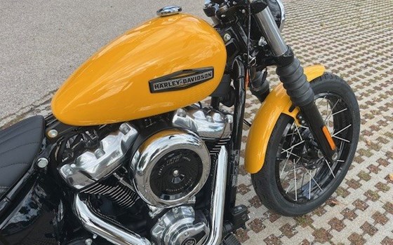 Neufahrzeug Harley-Davidson Softail Street Bob FXBB - Bild 4