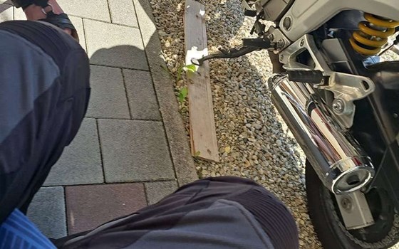 Gebrauchtmotorrad Yamaha TDM 850 - Bild 3