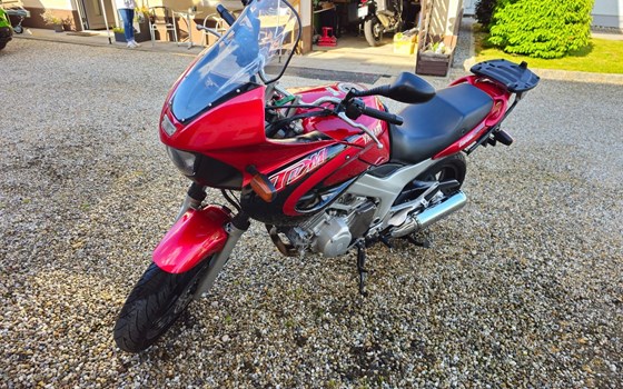 Gebrauchtmotorrad Yamaha TDM 850 - Bild 6