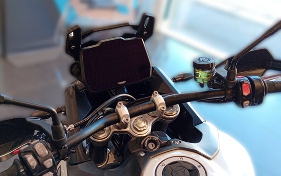 Neufahrzeug Triumph Tiger 900 Alpine Edition - Bild 6